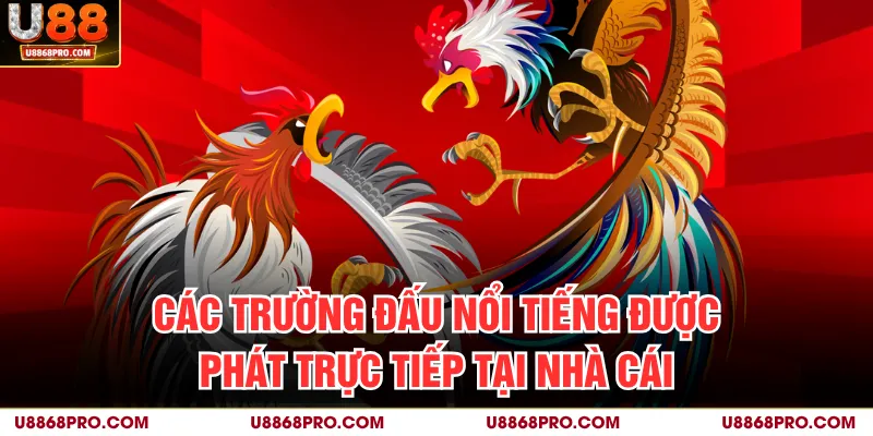 Các trường đấu nổi tiếng được phát trực tiếp tại nhà cái