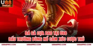 Đá Gà Cựa Dao Tại U88 - Đấu Trường Bùng Nổ Cảm Xúc Cược Thủ