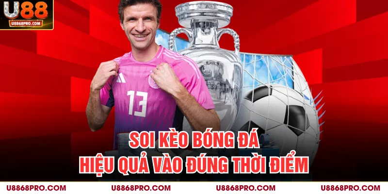 Bí quyết cá cược hiệu quả vào đúng thời điểm