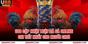 U88 Cập Nhật Luật Đá Gà Online Chi Tiết Nhất Cho Người Chơi